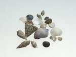 Buddelbrief - Muscheln